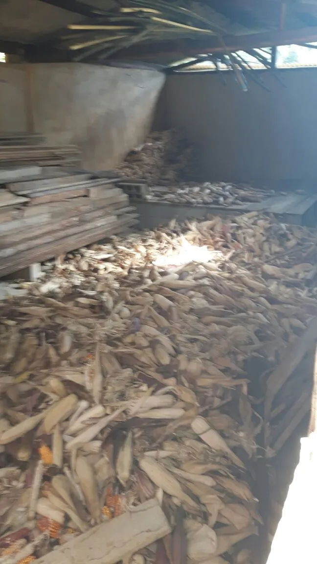 Sítio à venda, para Arrendar e em leilão de 29 ha em Lima Duarte, MG, Brasil