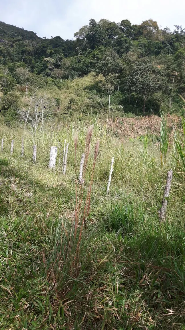 Sítio à venda, para Arrendar e em leilão de 29 ha em Lima Duarte, MG, Brasil
