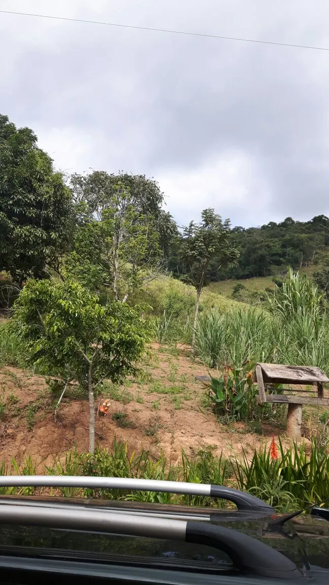 Sítio à venda, para Arrendar e em leilão de 29 ha em Lima Duarte, MG, Brasil