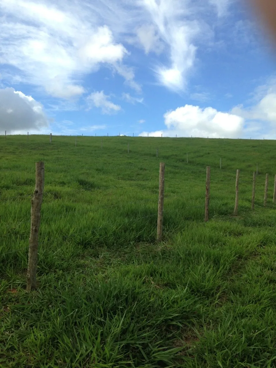 Fazenda à venda de 145 ha em Aracruz, ES, Brasil
