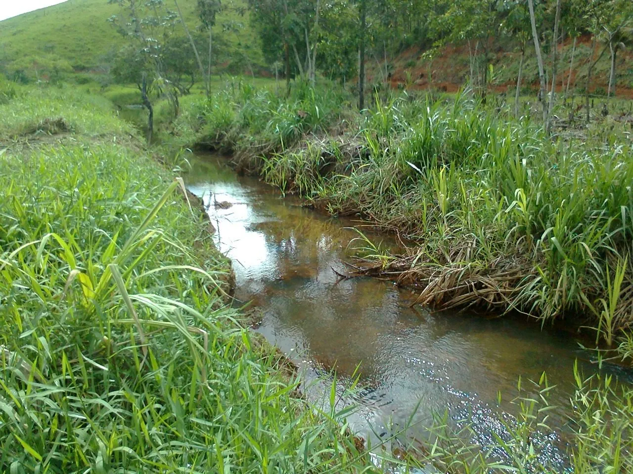 Fazenda à venda de 145 ha em Aracruz, ES, Brasil