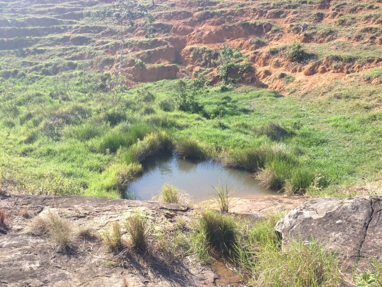 Fazenda à venda de 145 ha em Aracruz, ES, Brasil