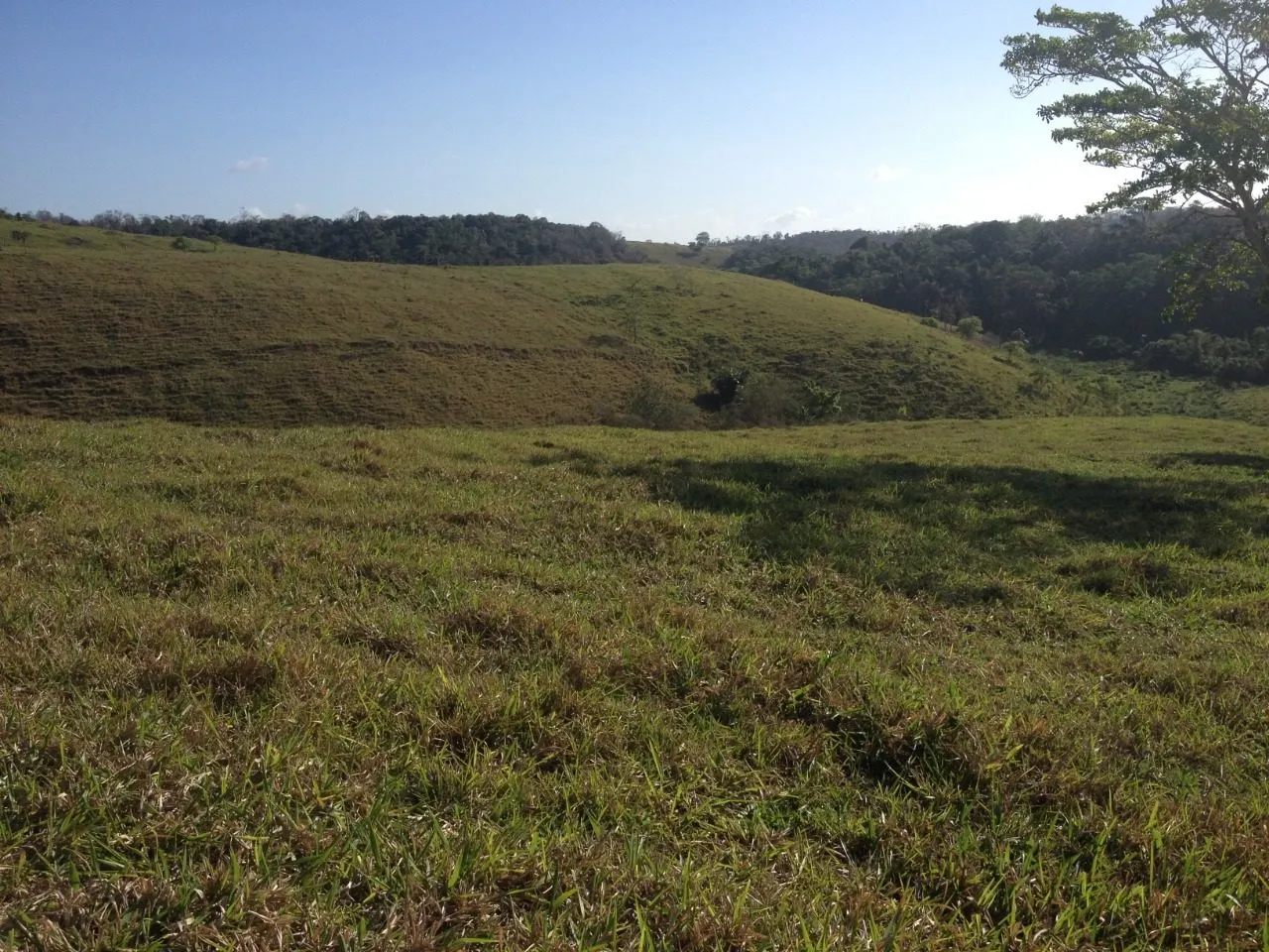 Fazenda à venda de 145 ha em Aracruz, ES, Brasil