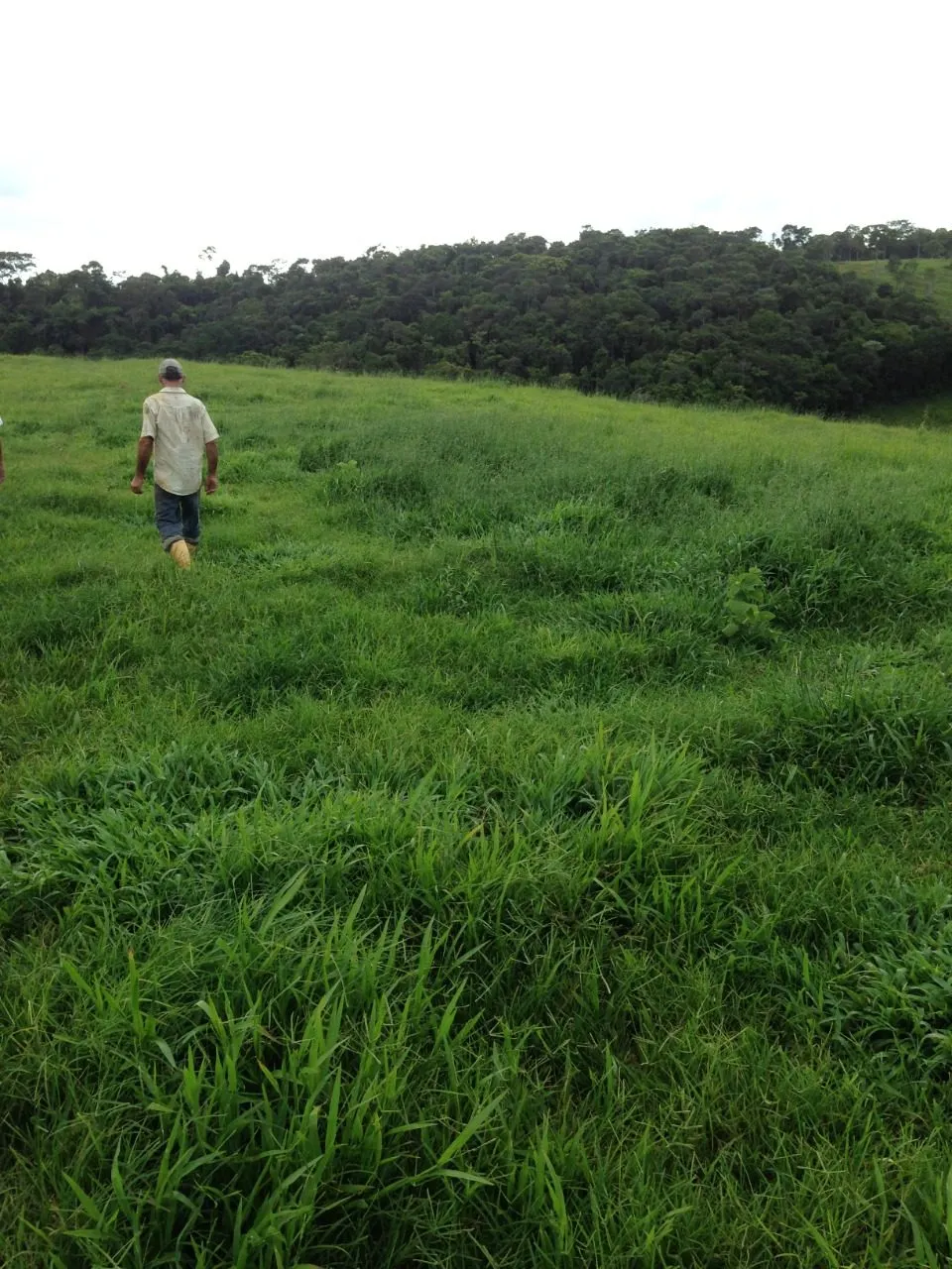 Fazenda à venda de 145 ha em Aracruz, ES, Brasil