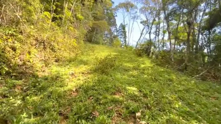 Sítio à venda de 18 ha em São Bonifácio, SC, Brasil
