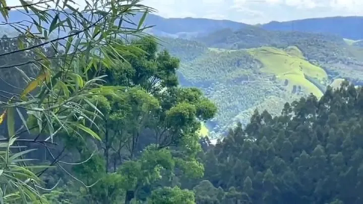 Sítio à venda de 18 ha em São Bonifácio, SC, Brasil