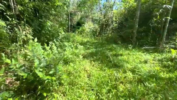 Sítio à venda de 18 ha em São Bonifácio, SC, Brasil