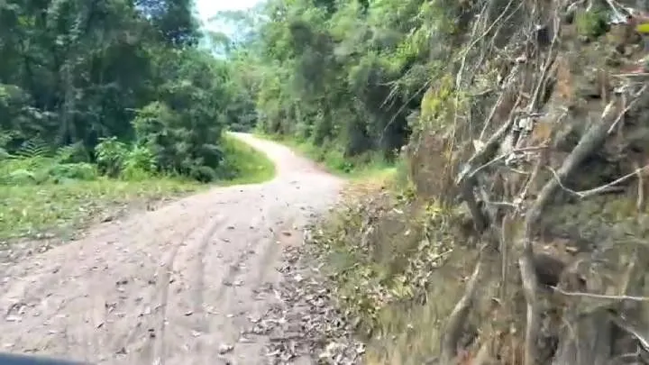 Sítio à venda de 18 ha em São Bonifácio, SC, Brasil