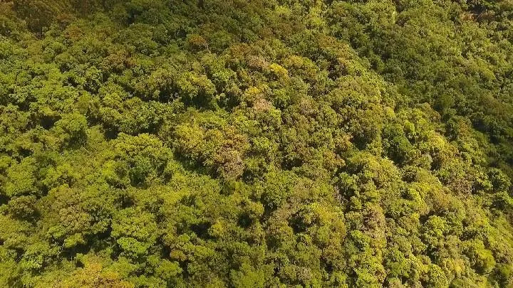 Sítio à venda de 18 ha em São Bonifácio, SC, Brasil