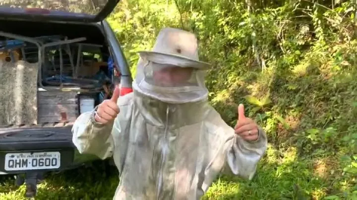 Sítio à venda de 18 ha em São Bonifácio, SC, Brasil