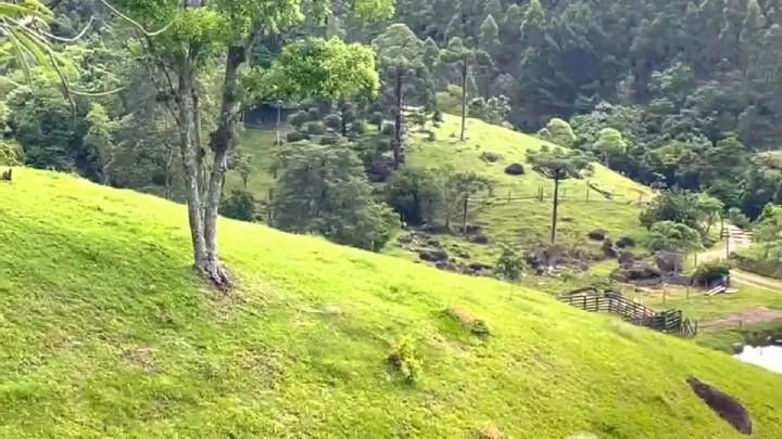 Sítio à venda de 18 ha em São Bonifácio, SC, Brasil