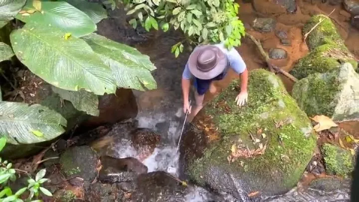Sítio à venda de 18 ha em São Bonifácio, SC, Brasil