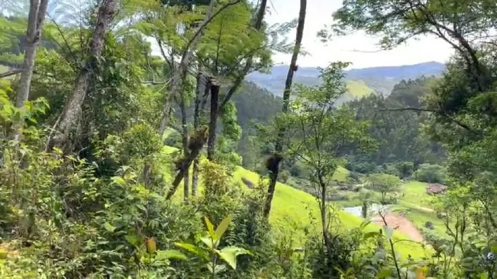 Sítio à venda de 18 ha em São Bonifácio, SC, Brasil