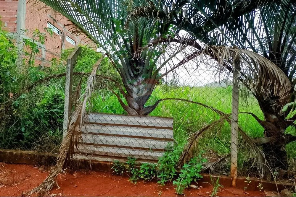 Chácara à venda de 500 m² em Cosmópolis, SP, Brasil