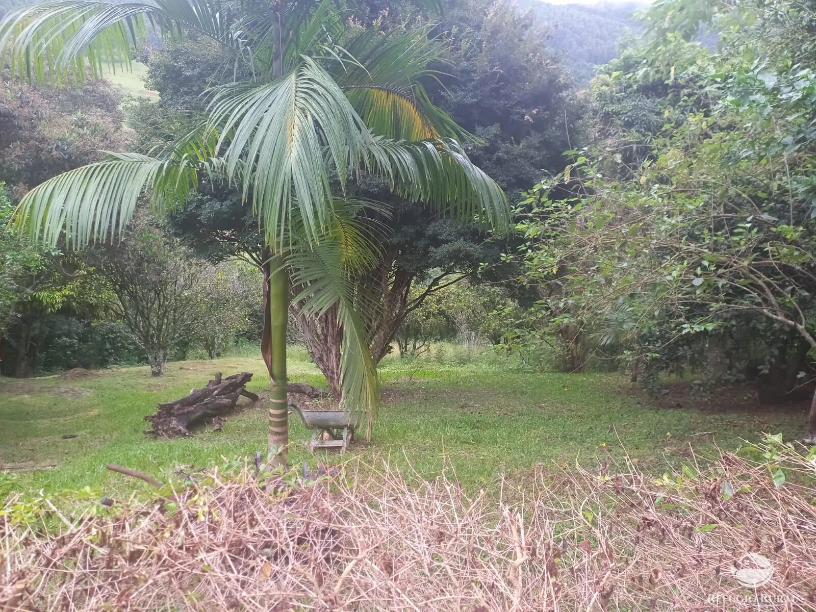 Country home for sale of 2 acres in Joanópolis, SP, Brazil