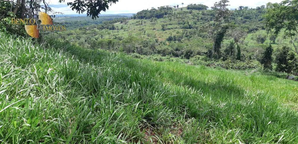 Fazenda à venda de 3.280 ha em Poxoréu, MT, Brasil