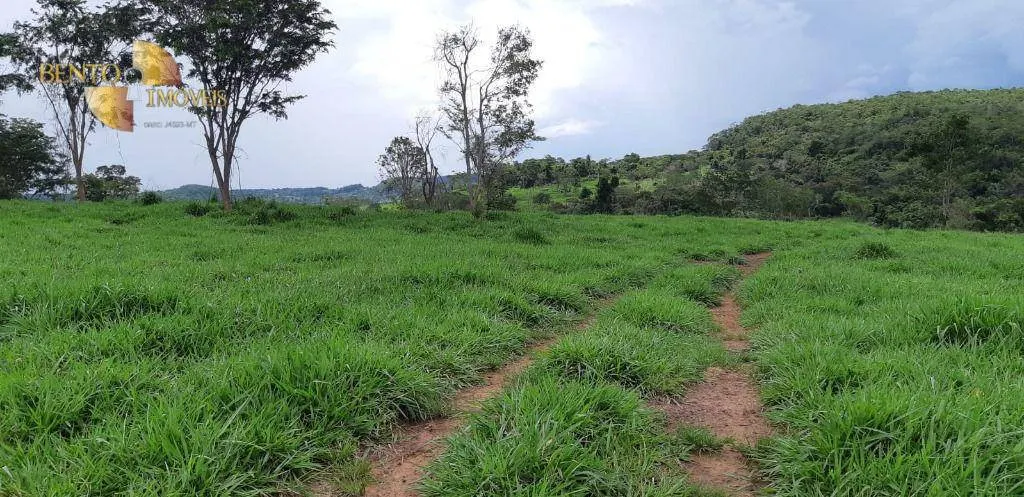 Fazenda à venda de 3.280 ha em Poxoréu, MT, Brasil