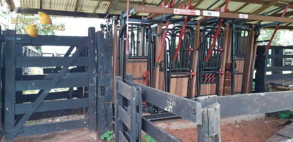 Fazenda à venda de 3.280 ha em Poxoréu, MT, Brasil