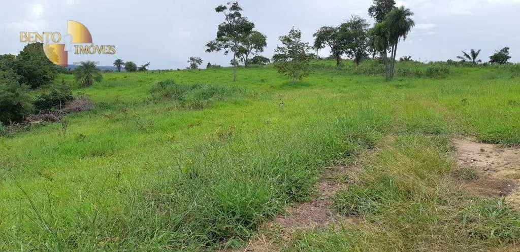 Fazenda à venda de 3.280 ha em Poxoréu, MT, Brasil