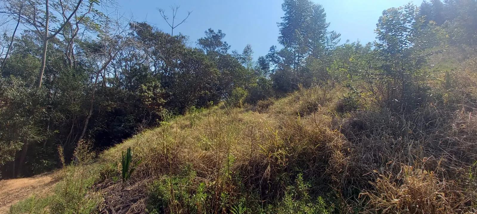 Terreno à venda de 4.200 m² em Paraibuna, SP, Brasil