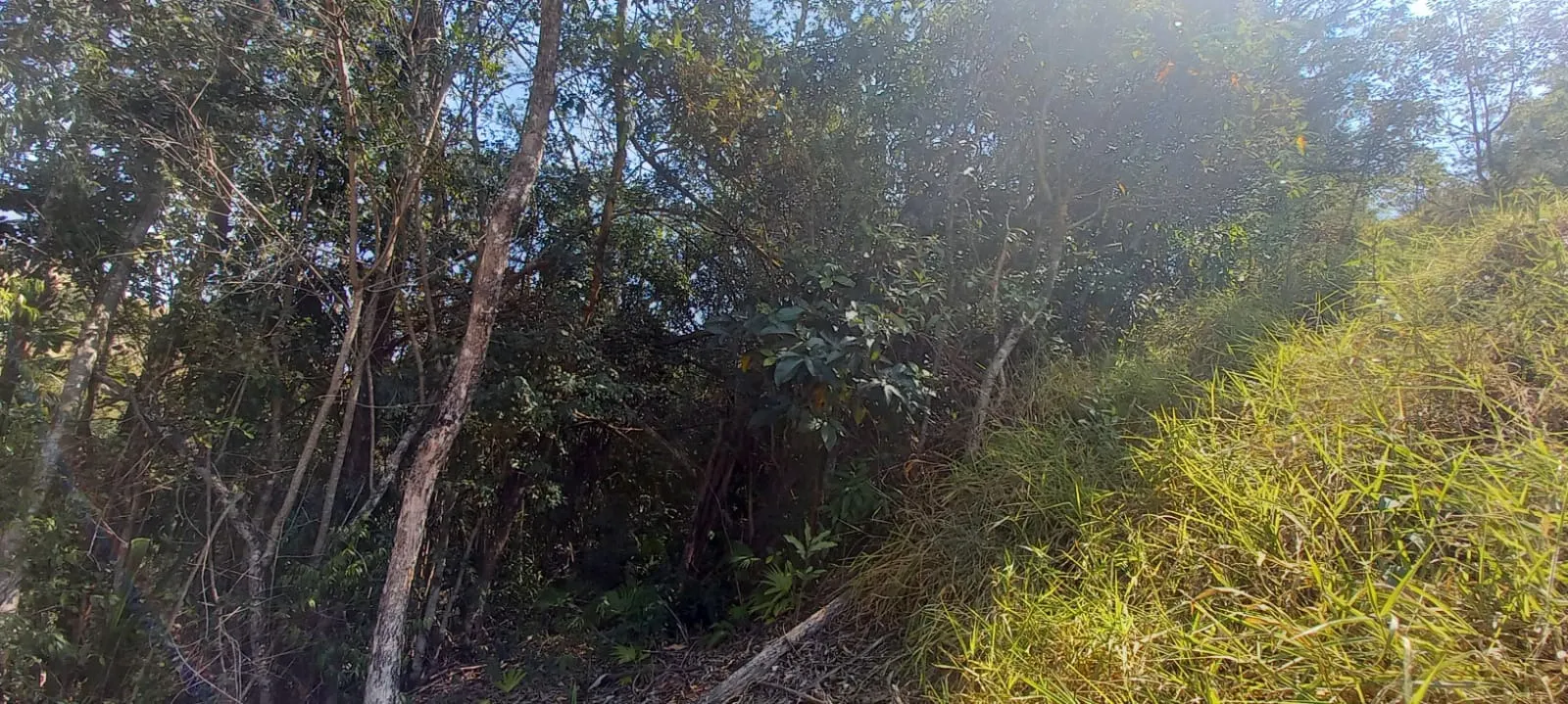 Terreno à venda de 4.200 m² em Paraibuna, SP, Brasil