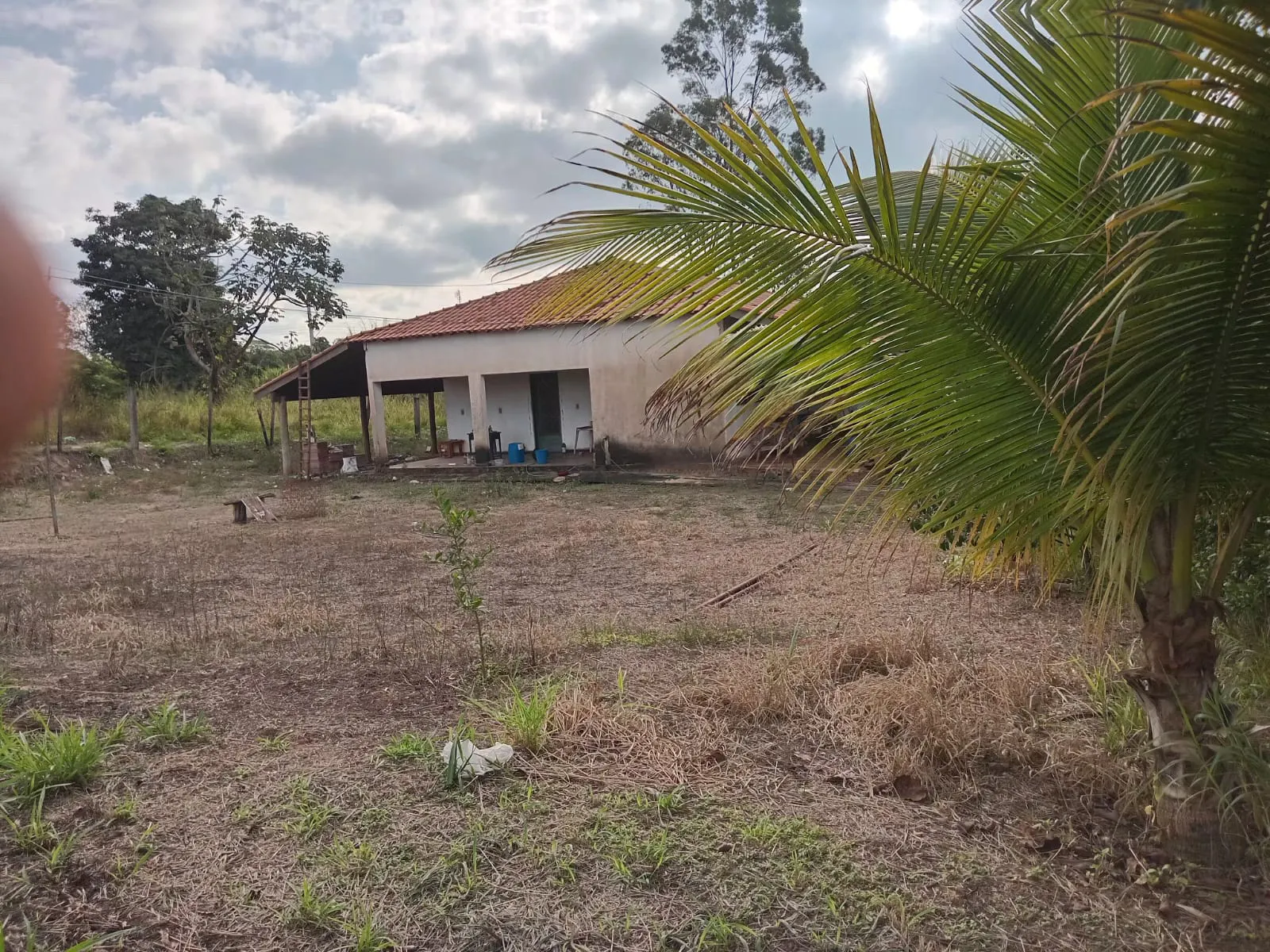 Small farm for sale of 25 acres in São José do Rio Preto, SP, Brazil