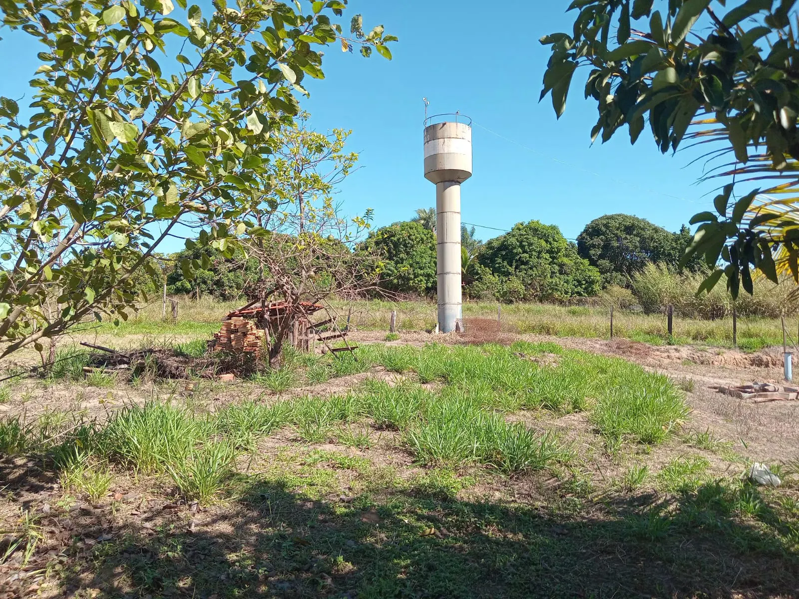 Small farm for sale of 25 acres in São José do Rio Preto, SP, Brazil