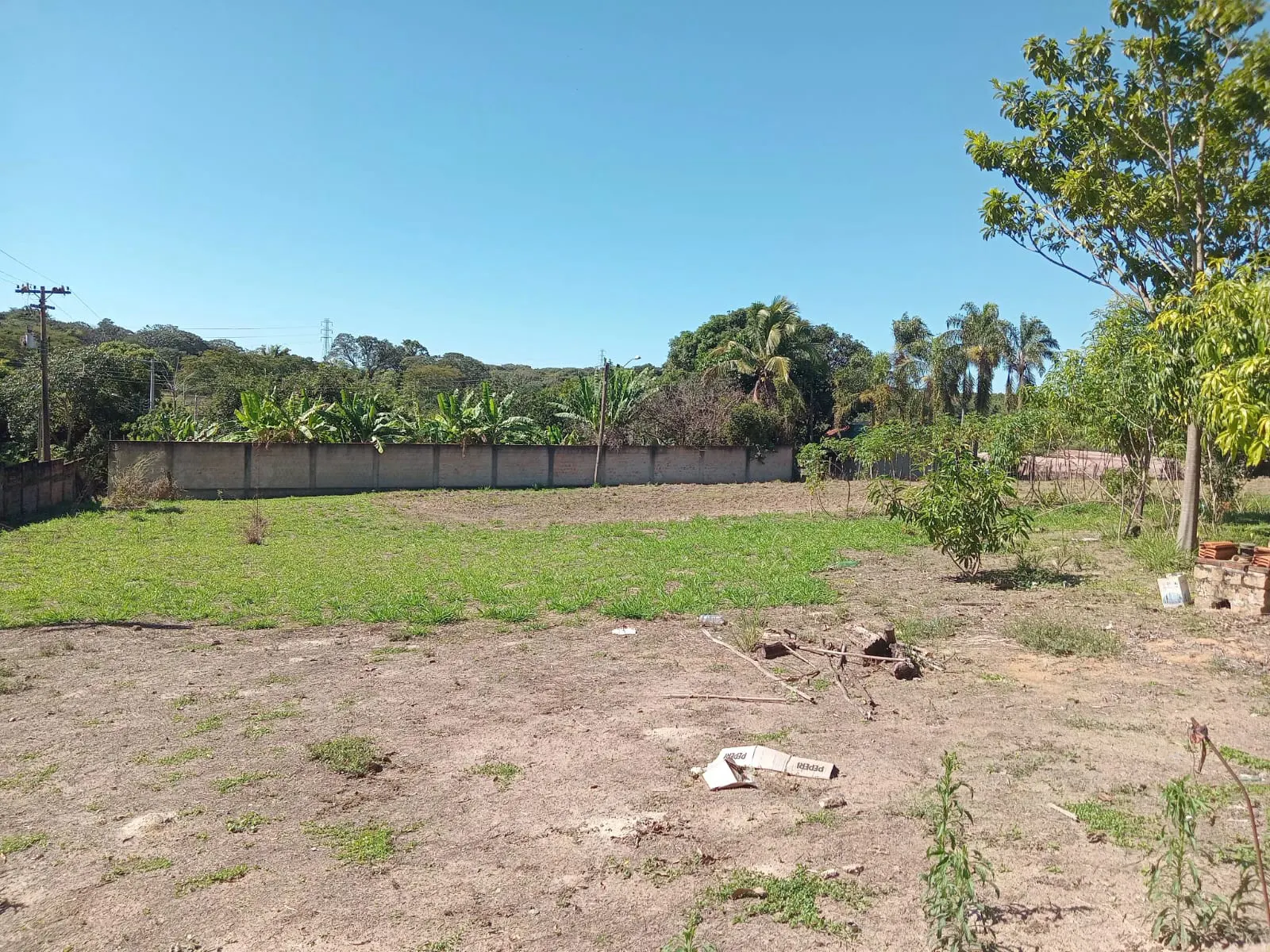 Small farm for sale of 25 acres in São José do Rio Preto, SP, Brazil