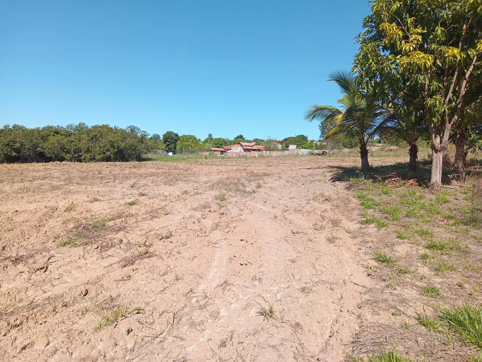Small farm for sale of 25 acres in São José do Rio Preto, SP, Brazil