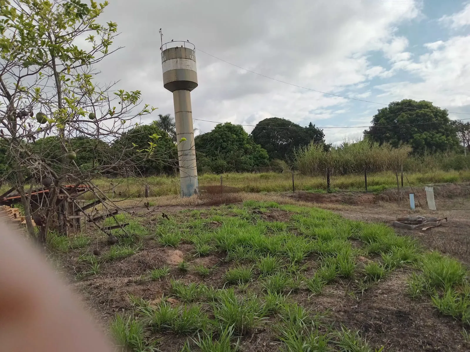 Small farm for sale of 25 acres in São José do Rio Preto, SP, Brazil