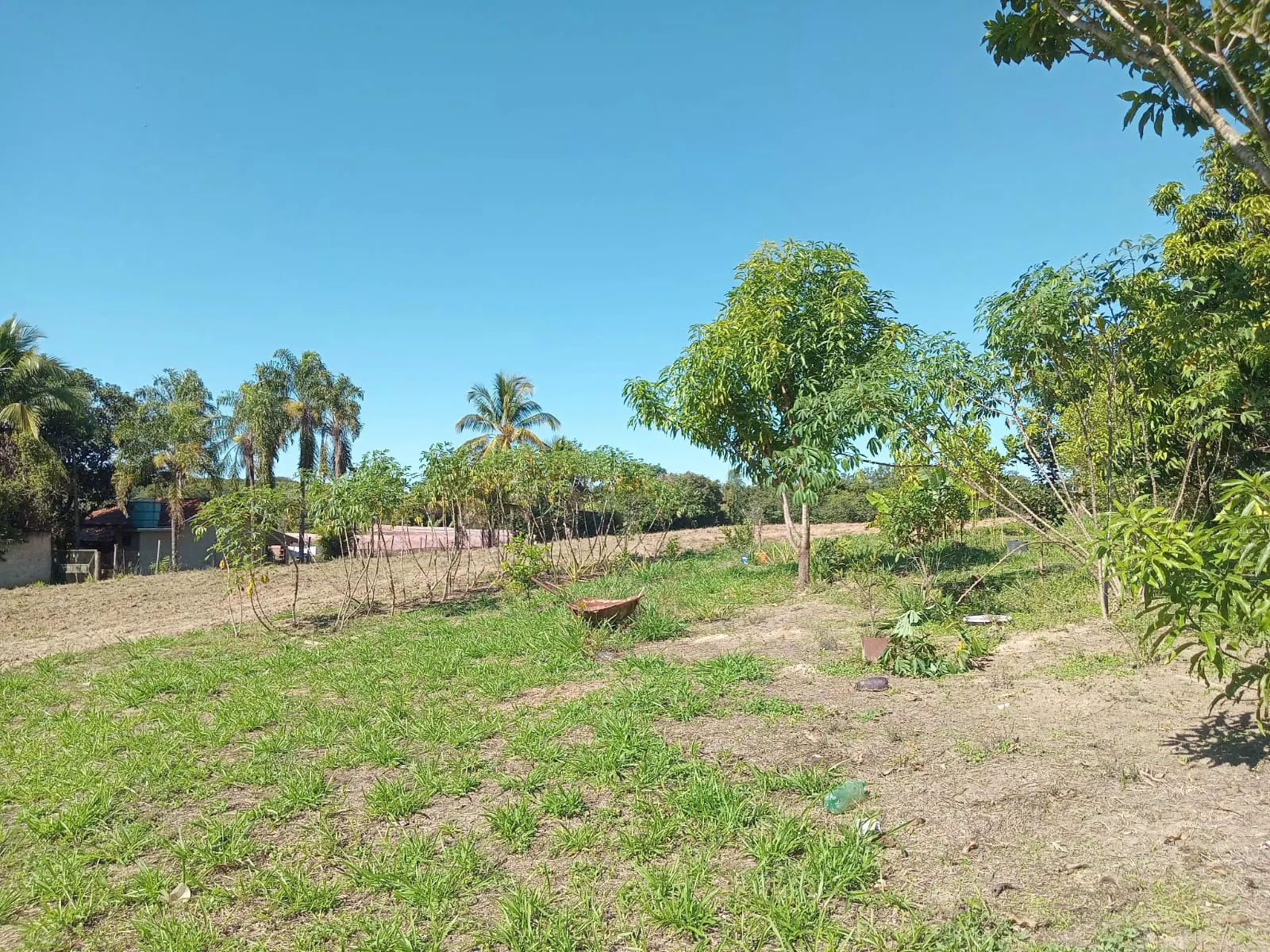 Small farm for sale of 25 acres in São José do Rio Preto, SP, Brazil
