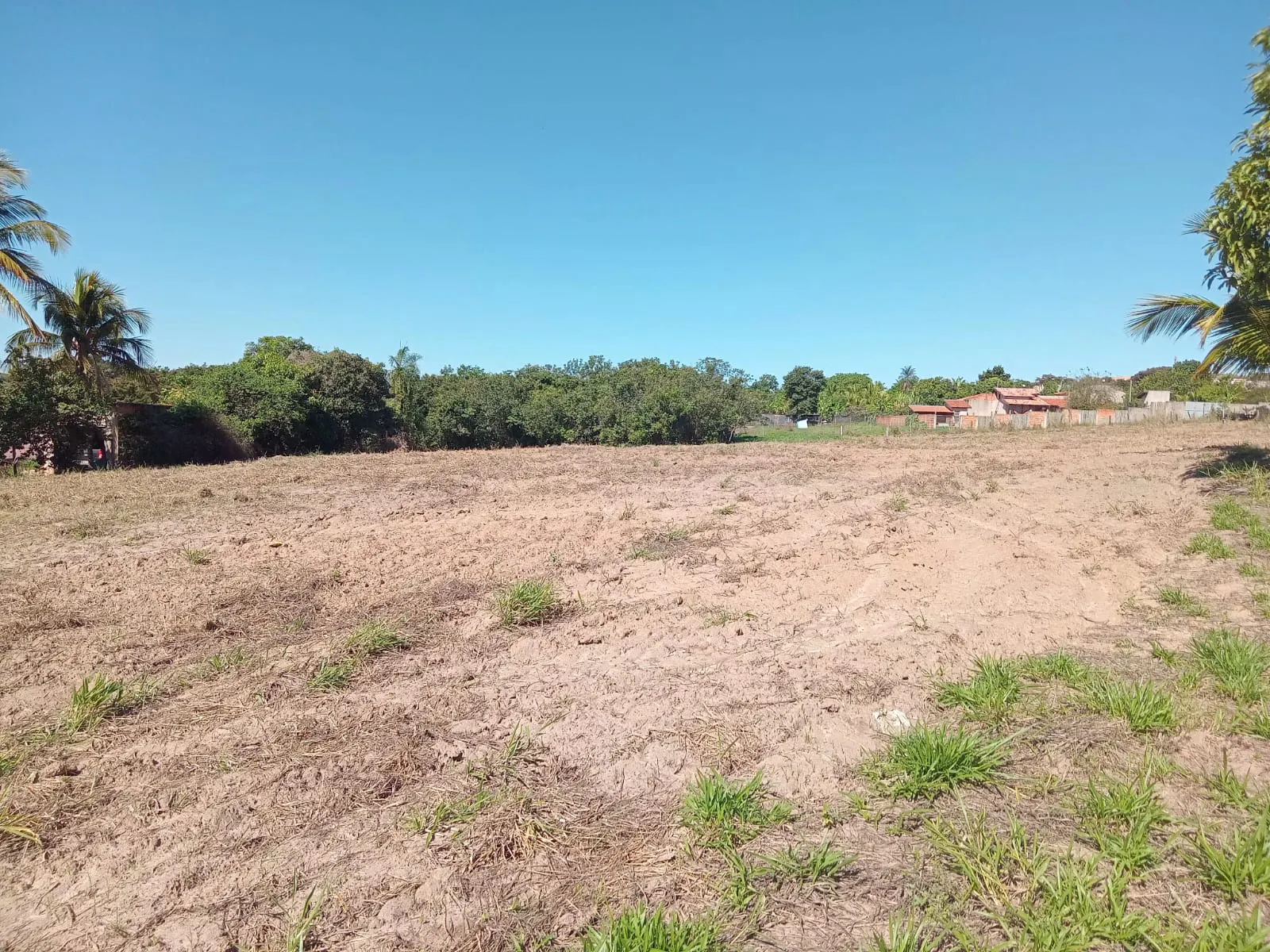 Small farm for sale of 25 acres in São José do Rio Preto, SP, Brazil