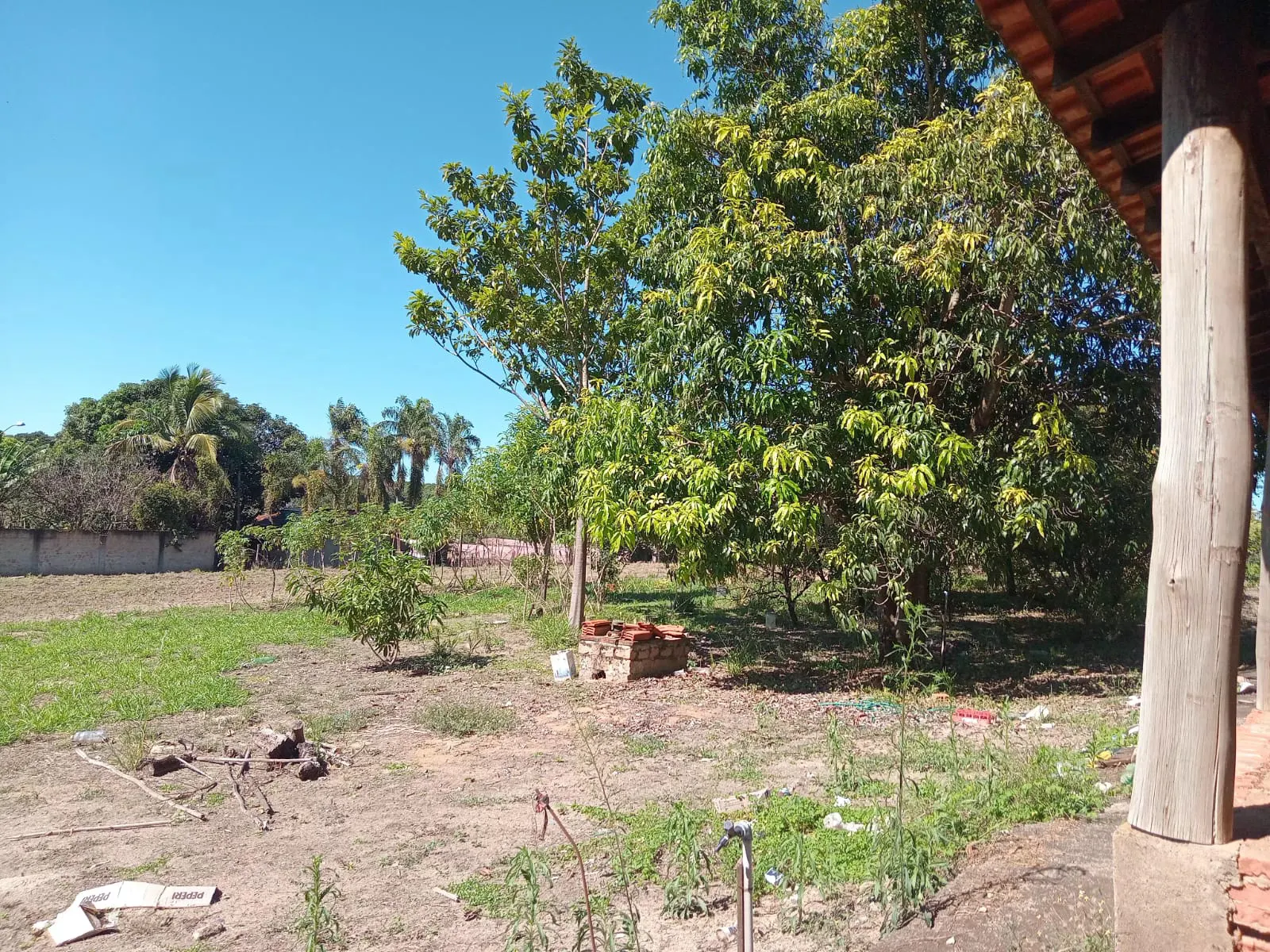 Small farm for sale of 25 acres in São José do Rio Preto, SP, Brazil