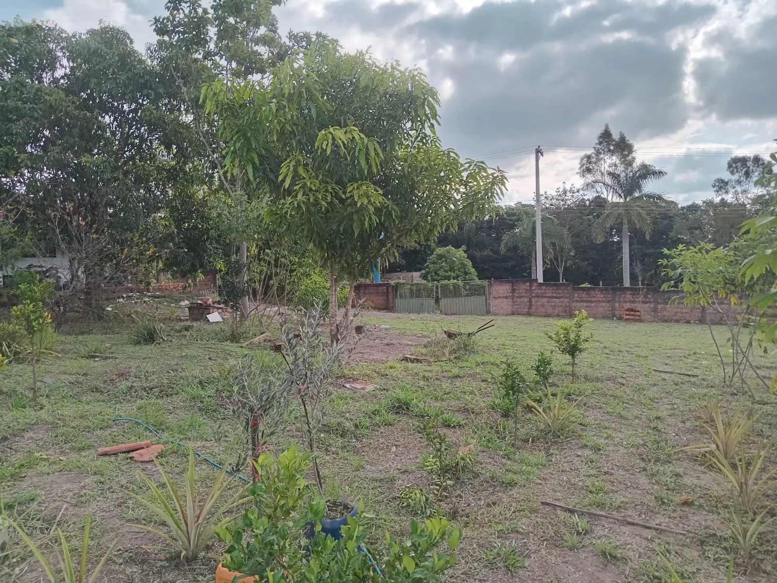 Small farm for sale of 25 acres in São José do Rio Preto, SP, Brazil