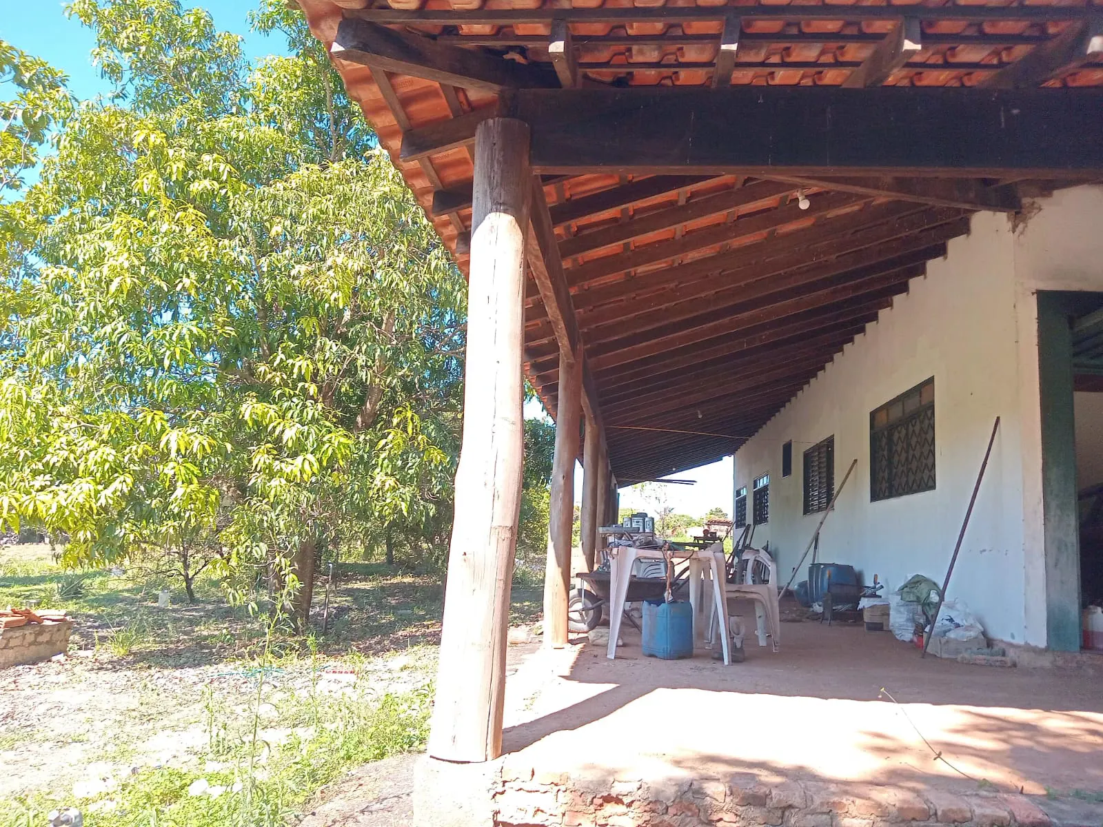 Small farm for sale of 25 acres in São José do Rio Preto, SP, Brazil