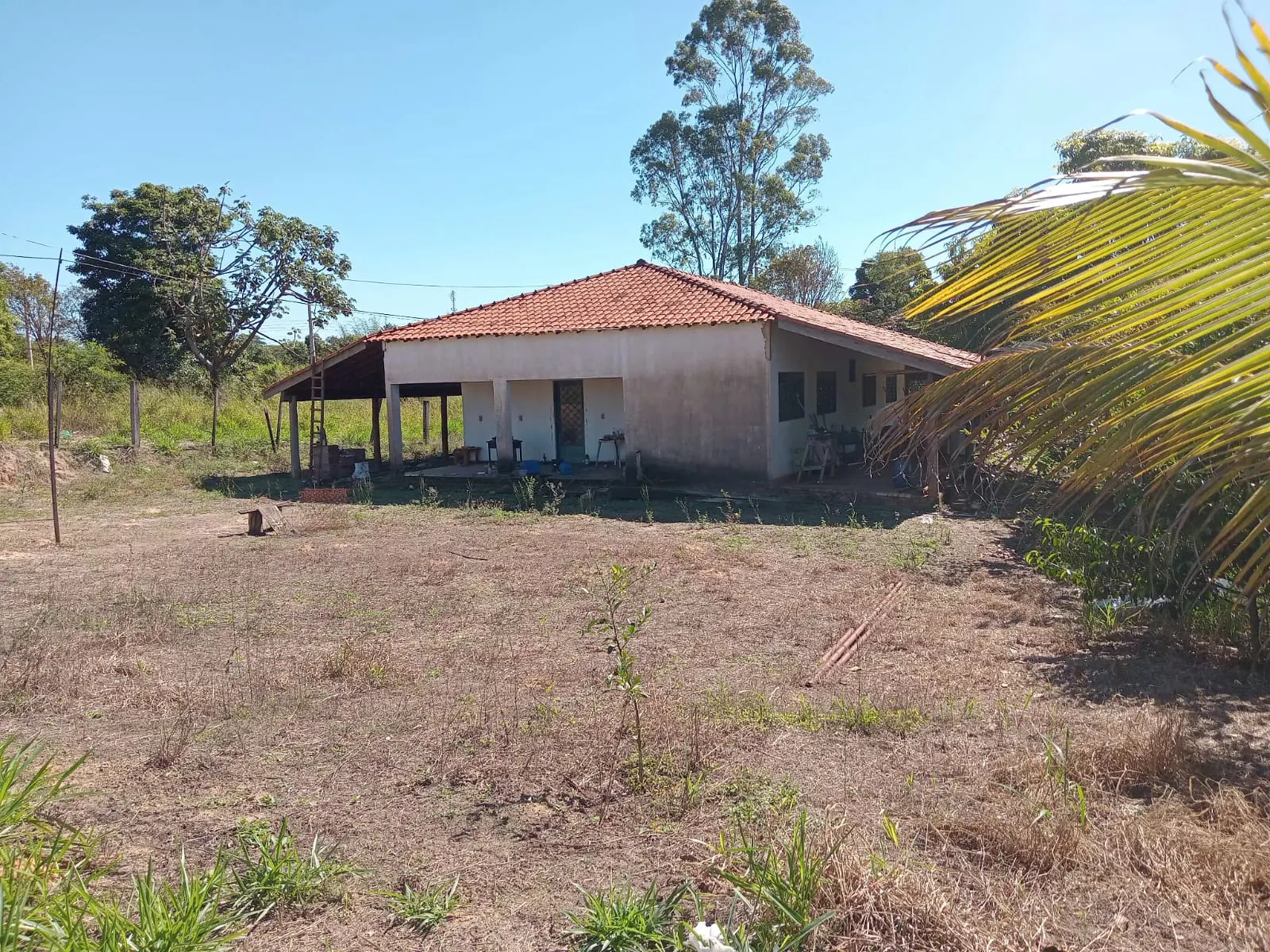 Sítio à venda de 10 ha em São José do Rio Preto, SP, Brasil