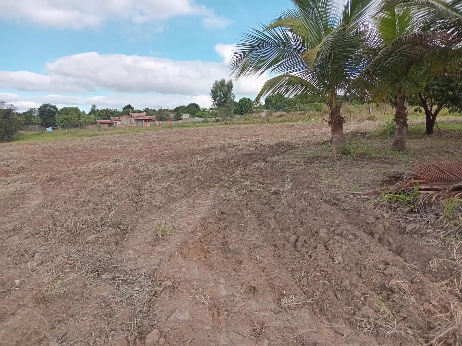 Small farm for sale of 25 acres in São José do Rio Preto, SP, Brazil