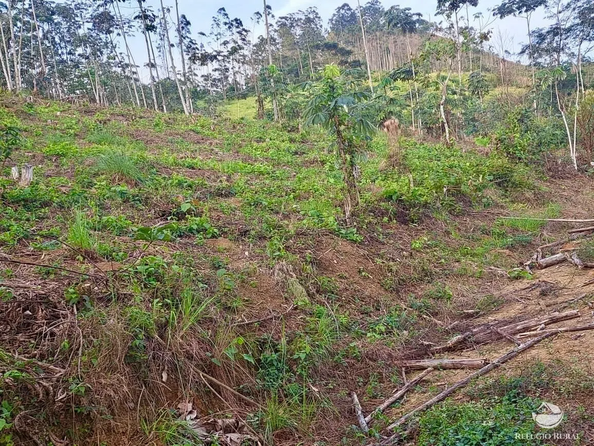 Plot for sale of 5 acres in Monteiro Lobato, SP, Brazil