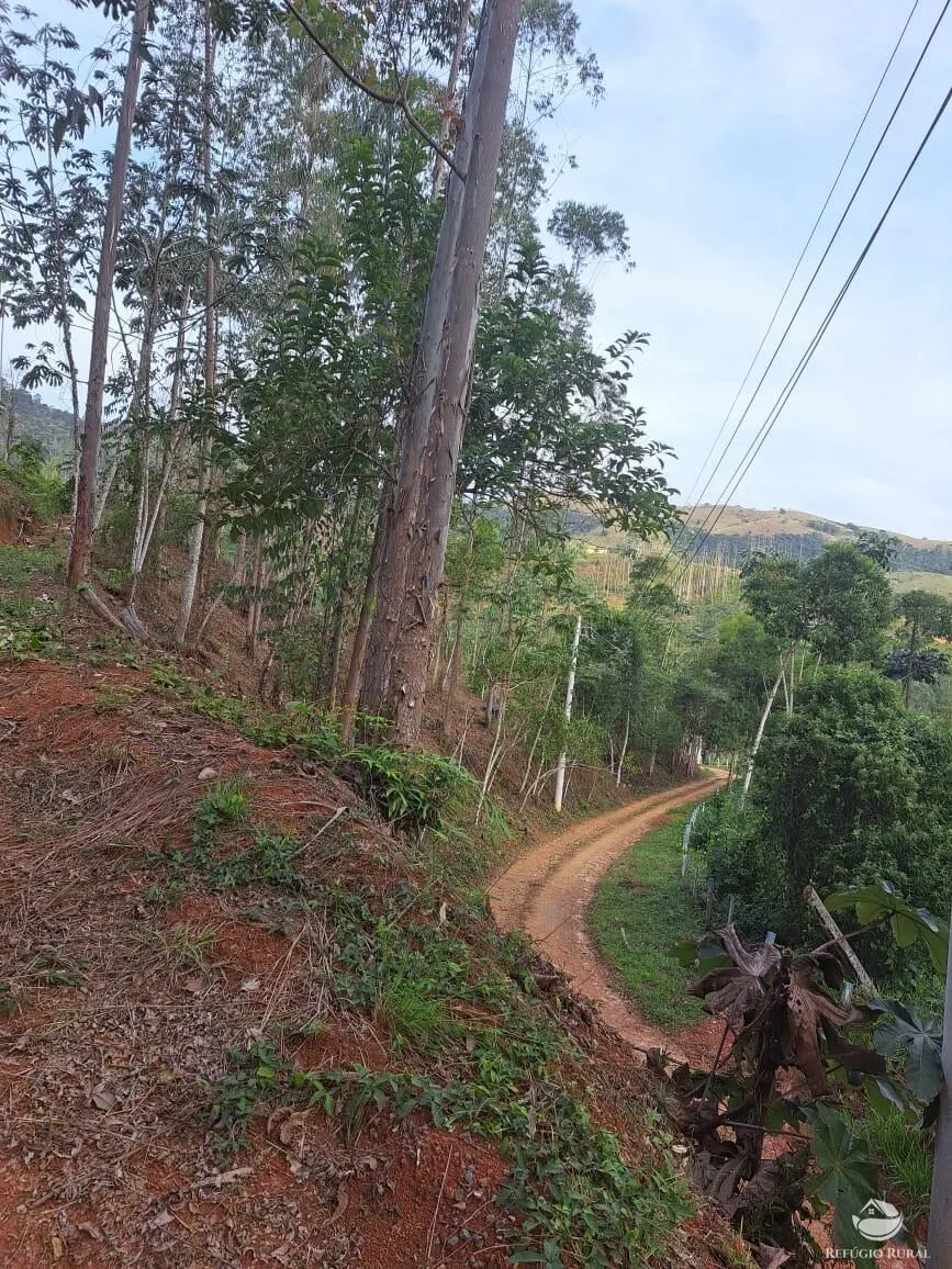Plot for sale of 5 acres in Monteiro Lobato, SP, Brazil