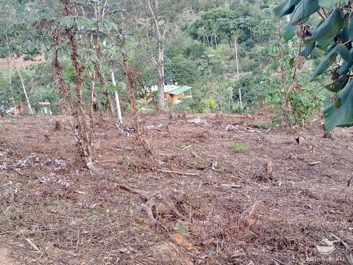 Plot for sale of 5 acres in Monteiro Lobato, SP, Brazil