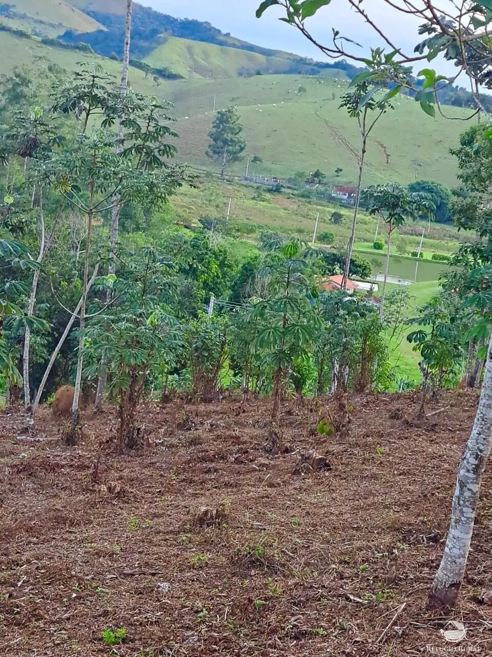 Plot for sale of 5 acres in Monteiro Lobato, SP, Brazil