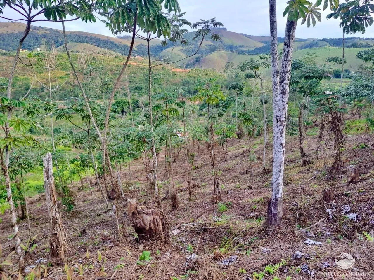 Plot for sale of 5 acres in Monteiro Lobato, SP, Brazil