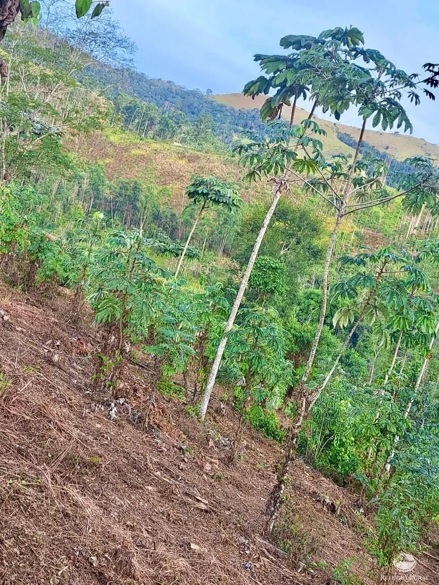 Plot for sale of 5 acres in Monteiro Lobato, SP, Brazil