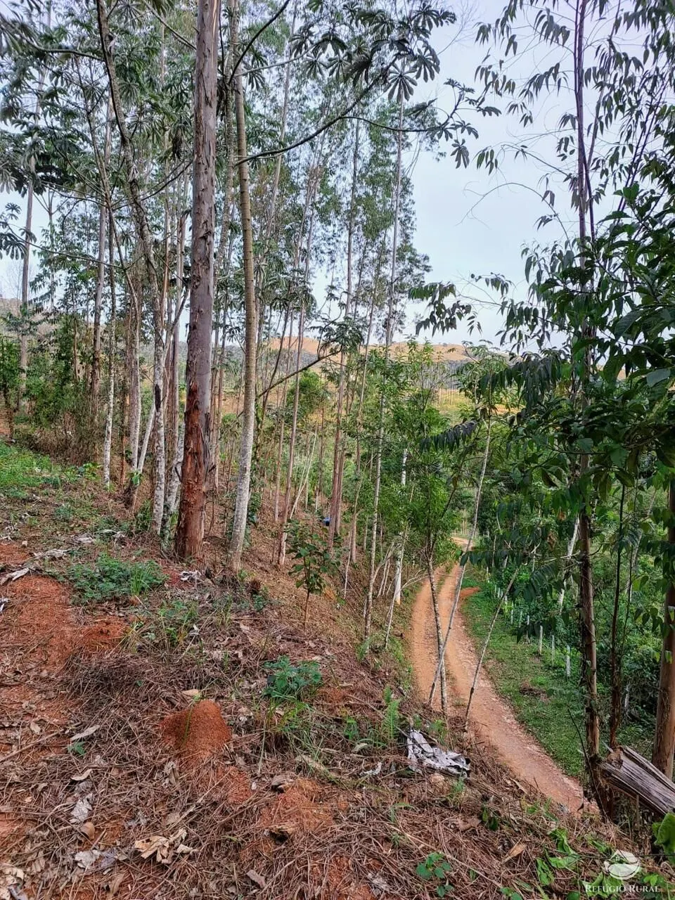 Plot for sale of 5 acres in Monteiro Lobato, SP, Brazil