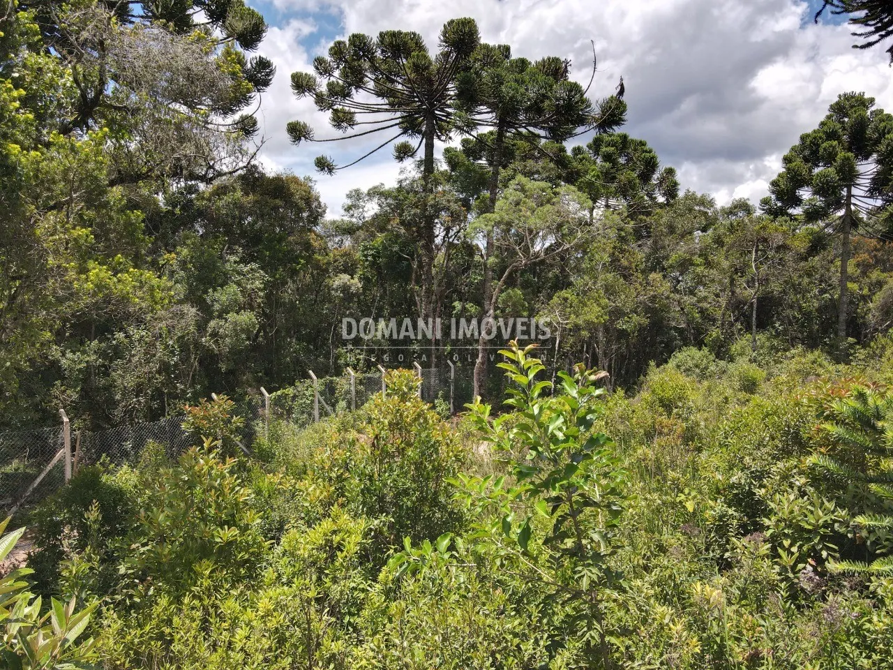 Plot for sale of 1,010 m² in Campos do Jordão, SP, Brazil