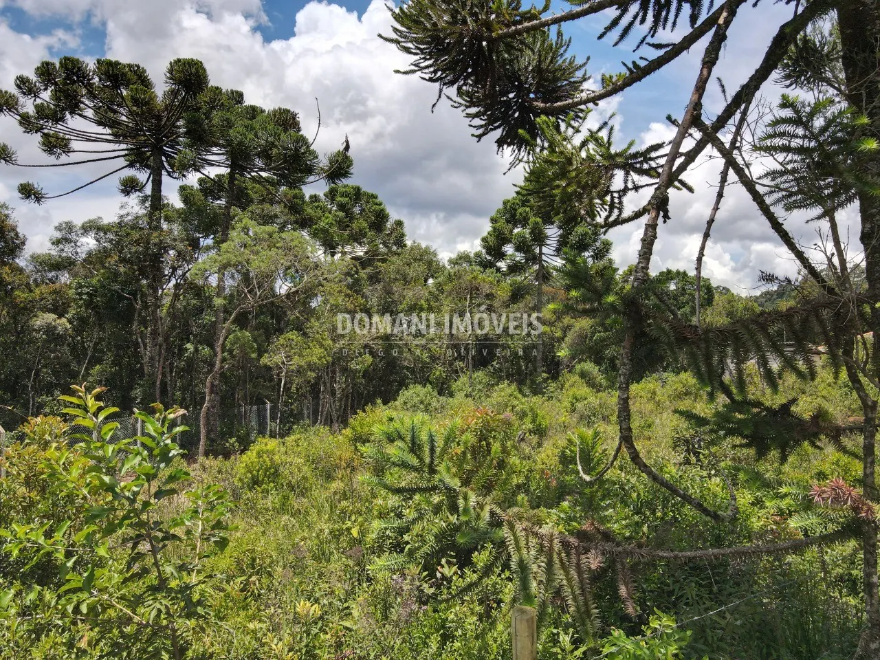 Plot for sale of 1,010 m² in Campos do Jordão, SP, Brazil