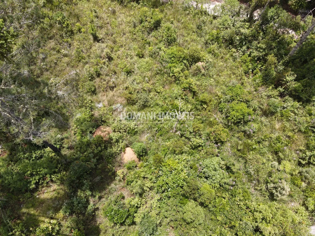 Plot for sale of 1,010 m² in Campos do Jordão, SP, Brazil