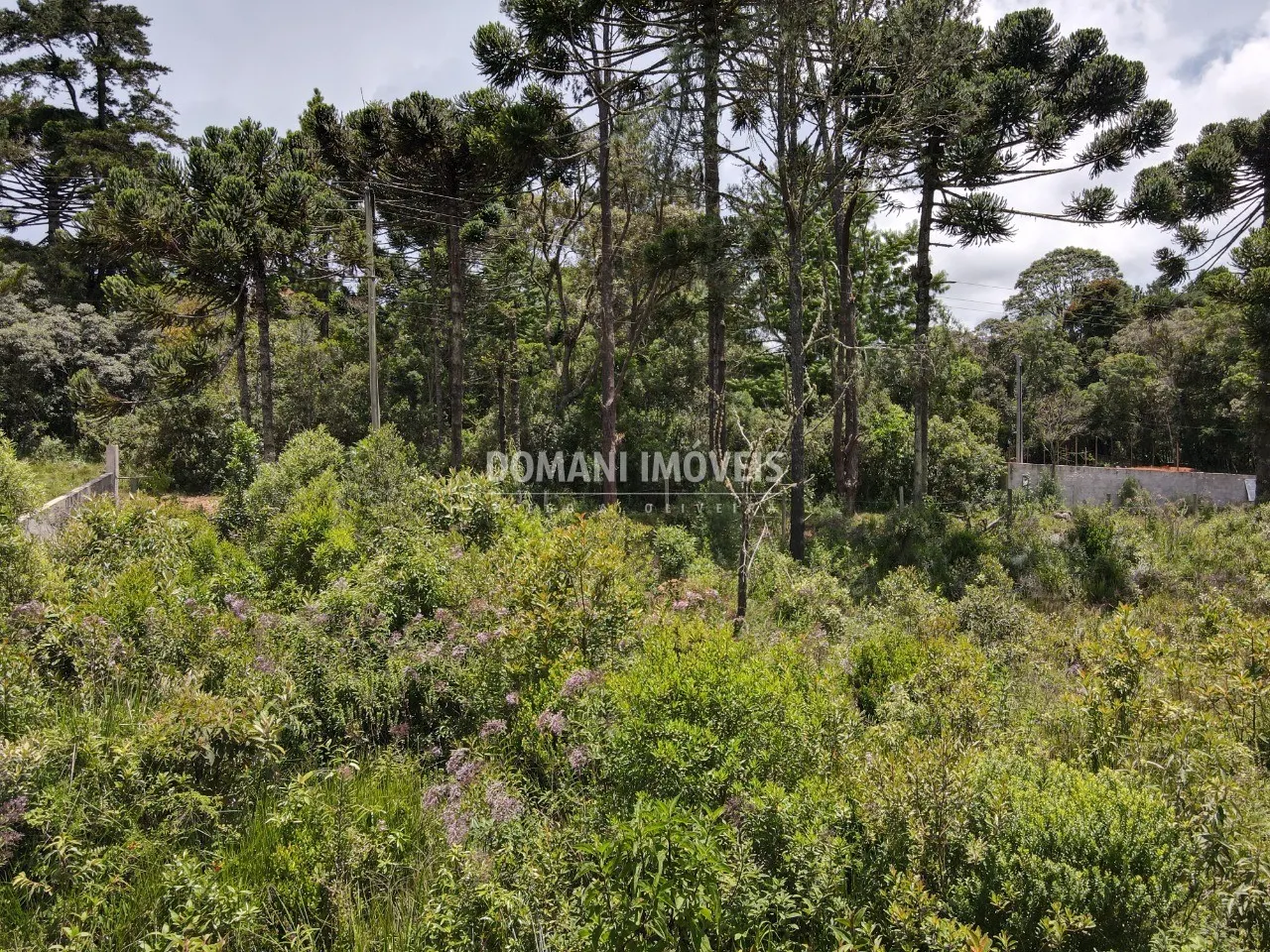 Plot for sale of 1,010 m² in Campos do Jordão, SP, Brazil