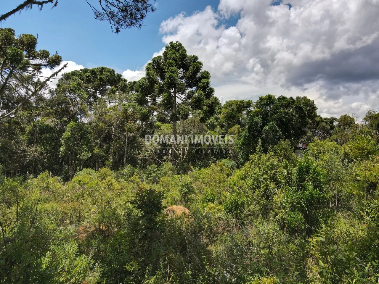 Plot for sale of 1,010 m² in Campos do Jordão, SP, Brazil