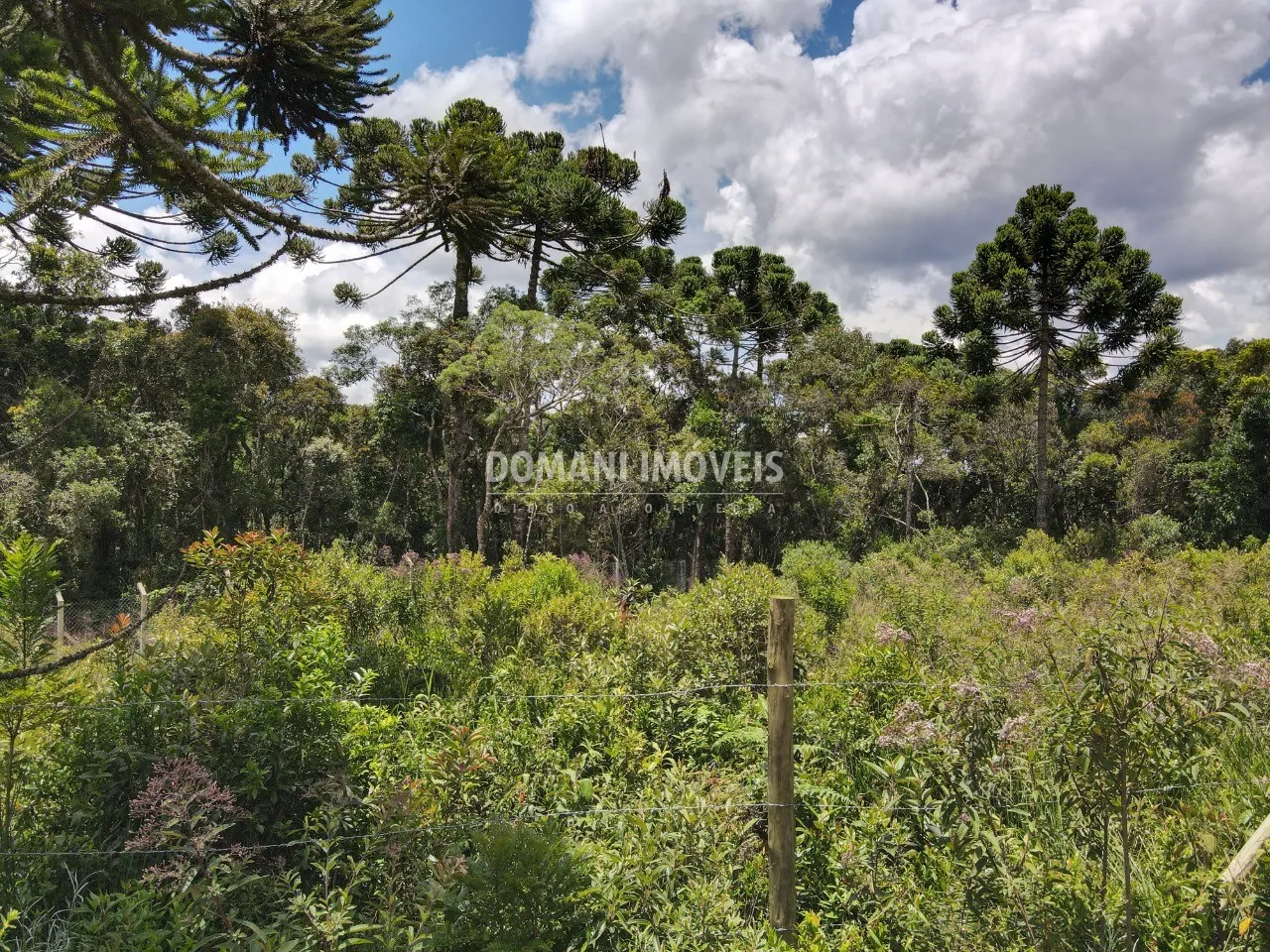Plot for sale of 1,010 m² in Campos do Jordão, SP, Brazil